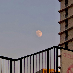 国产在线综合免费视频
